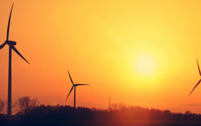 Wsparcie sprzedaży usług dodatkowych w firmie energetycznej